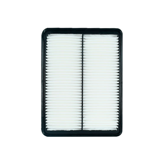 filtro de aire air-2w100 evoparts