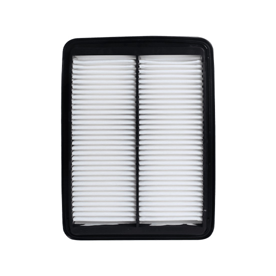 filtro de aire SAF-1-5668 seineca