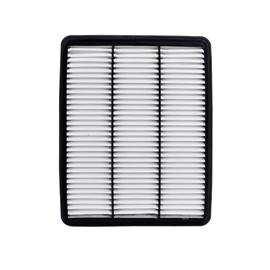 filtro de aire SAF-1-5733 seineca