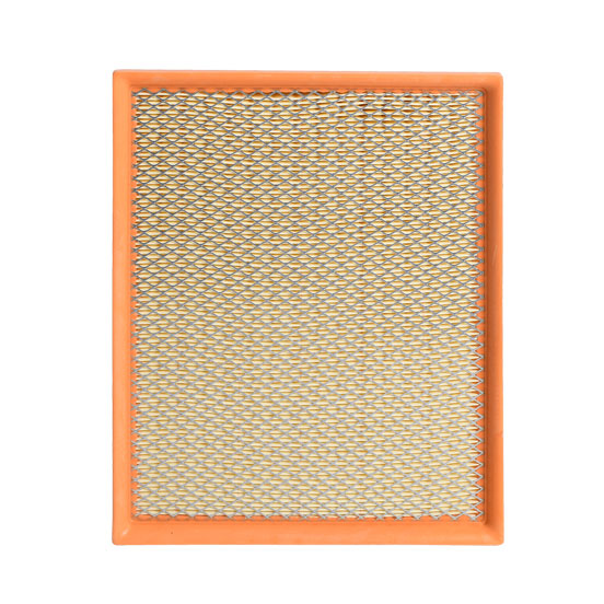 filtro de aire SAF-9-5032 seineca