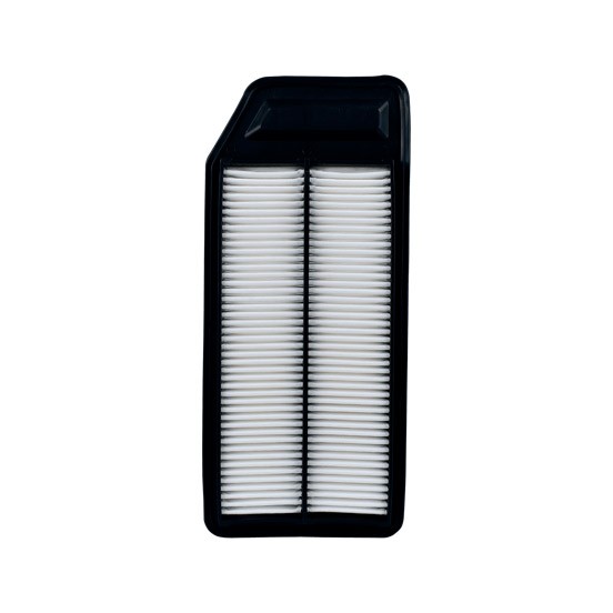 filtro de aire SAF-P-5431 seineca