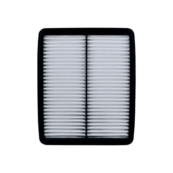 filtro de aire SAF-Q-5479 seineca