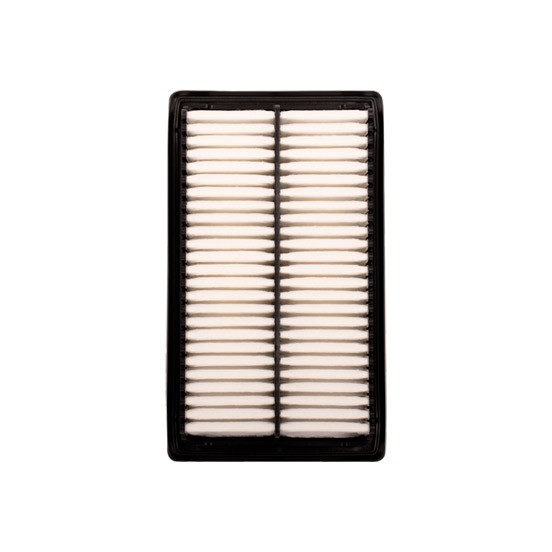 filtro de aire SAF-Q-5573 seineca