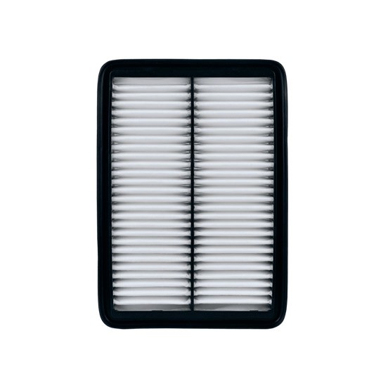 filtro de aire SAF-Q-5578 seineca